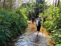 Melalui sungai