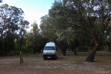 auf dem Campingplatz in Gracetown (Durch den Südwesten Australiens Teil 1 – Bunbury, Busselton, Margaret River, Augusta)